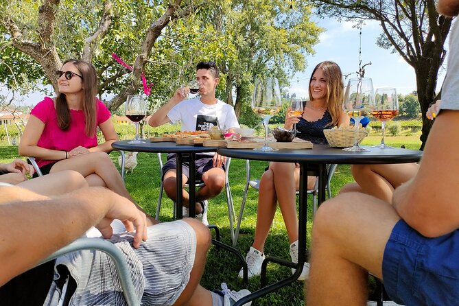 Wine Tasting with Local Food in Lazise Countryside - Key things that make this tasting work