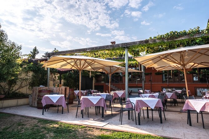 Wine Tasting with Panoramic View of Verona - Price and logistics: is $54.44 worth it?