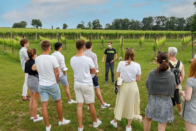 Winery Tour and Tasting of Garda Wines in Lazise - A 3pm Winery Break Near Lazise That Actually Feels Like the Countryside