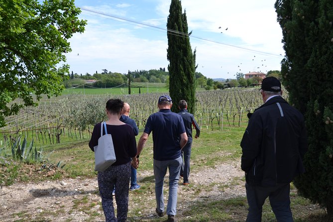 Winery Tour and Tasting of Garda Wines in Lazise - The Tasting Room: At Least Six Wines, With Real Pairing Food