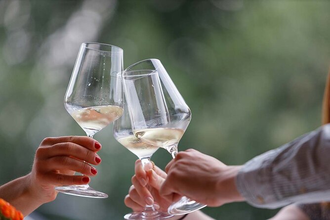 Winery Tour and Tasting of Garda Wines in Lazise - Snack Pairings That Make the Wines Easier to Judge