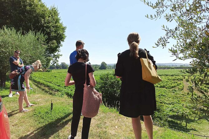 Winery Tour and Tasting of Garda Wines in Lazise - Who This Tour Fits Best (and Who Might Want to Skip)