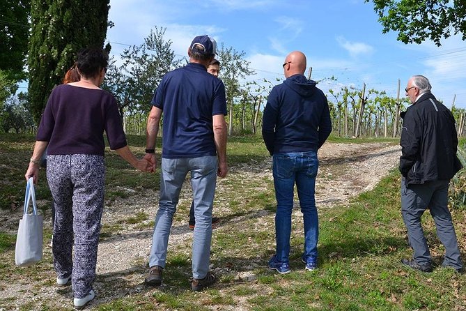 Winery Tour and Tasting of Garda Wines in Lazise - Meeting Point and Timing: Know Where Colà Is Before You Go